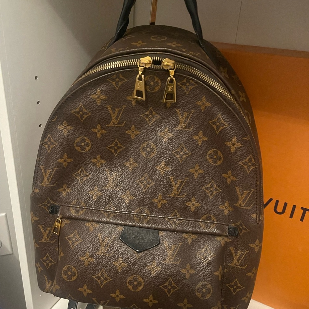 Louis Vuitton Monogram Palm Springs Backpack MM